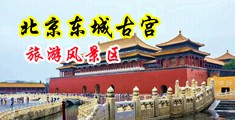 鸡吧操女生小穴的视频中国北京-东城古宫旅游风景区